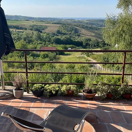 Apartment Popovic - Fruska Gora *