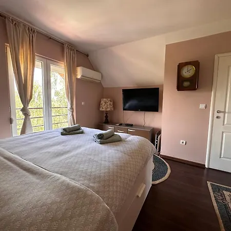 Popovic - Fruska Gora Apartment Sremski Karlovci