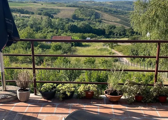 Apartment Popovic - Fruska Gora *